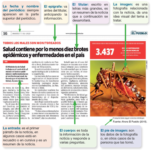 Partes de la Noticia
